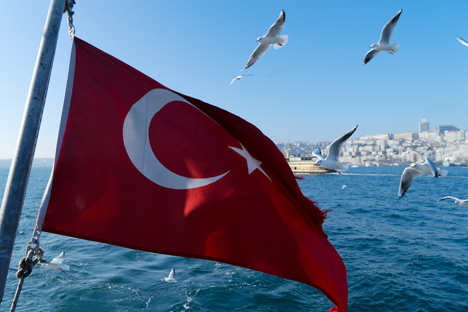 гражданство Турции